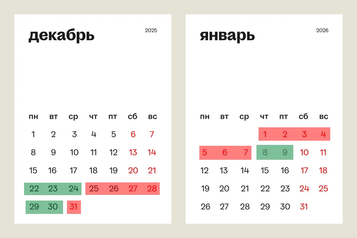 Режим работы интернет-магазина в Новогодние праздники 2026!